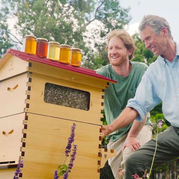 Pure Honey, Zero Disturbance